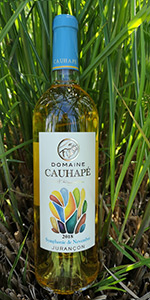 Symphonie de novembre - domaine Cauhape Symphonie de novembre - domaine Cauhape