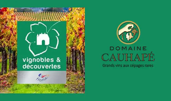 Le label Vignobles et Découvertes pour le Domaine