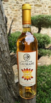 Quintessence du Petit Manseng - Domaine Cauhapé