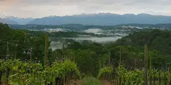 Domaine Cauhapé - Les vignes au cœur du Béarn